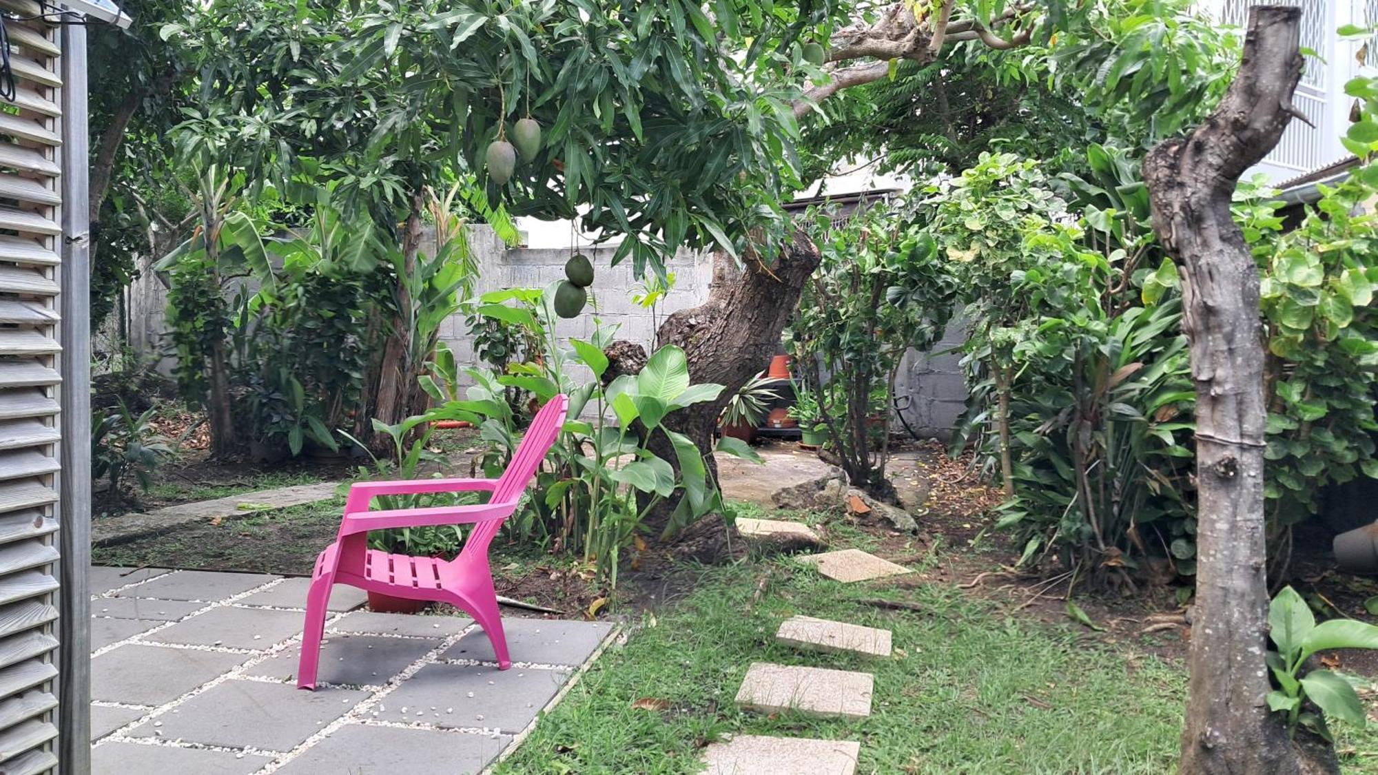 شقة Agreable F2, Jardin, Garage, Fibre, Clim Ch فورت-دو-فرانس المظهر الخارجي الصورة